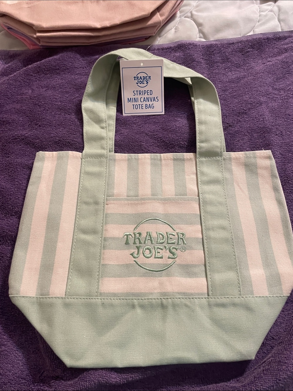 Trader Joe's Striped Mini Canvas Tote in Mint and Cream